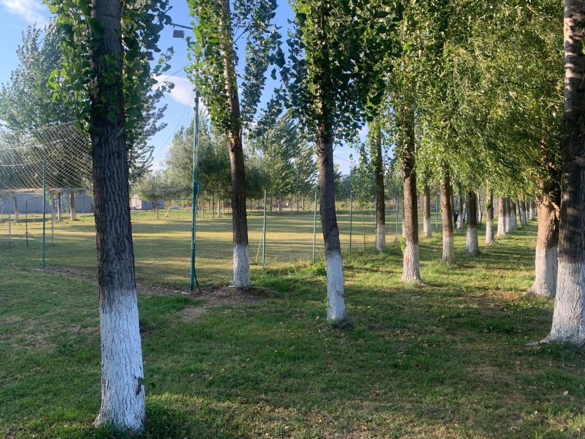 Gigios Sport&Relax Villa Bailesti Luaran gambar